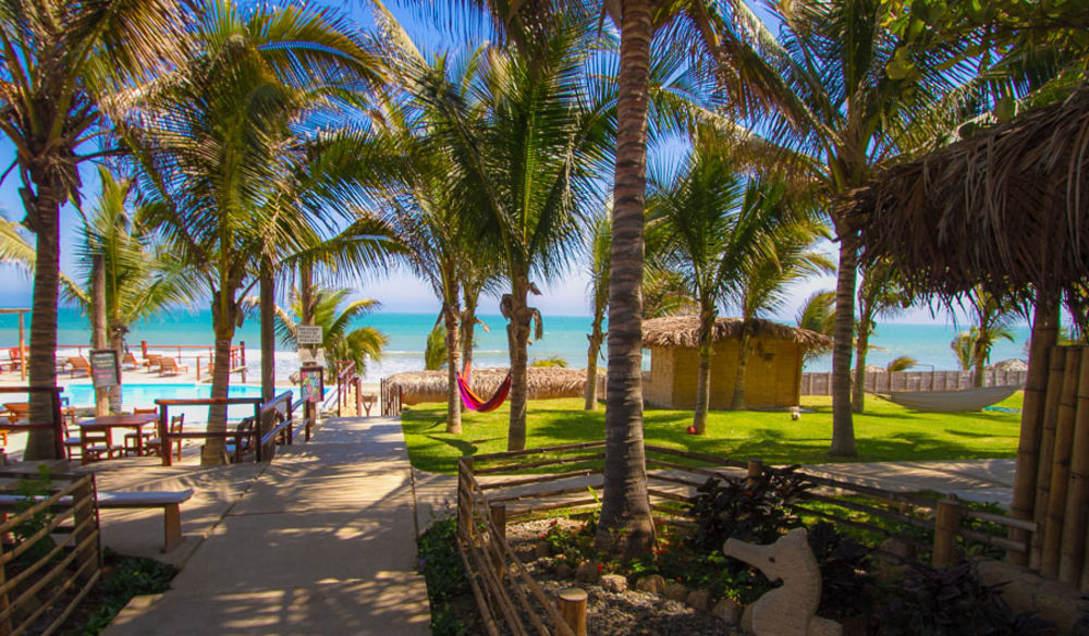 Hotel Playa Palmeras Los Órganos Exterior foto